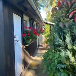 Haffidylle Familie Bress Ueckermünde