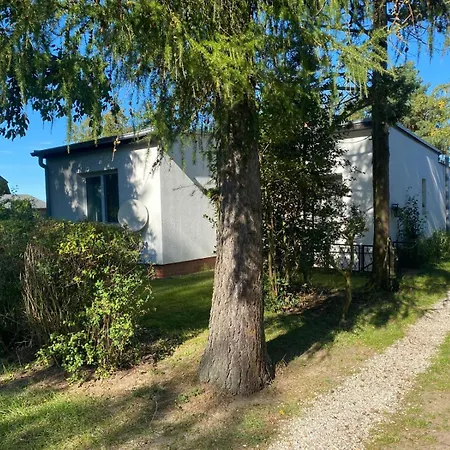 Haffidylle Familie Bress