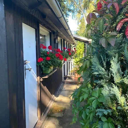 Haffidylle Familie Bress Ueckermunde